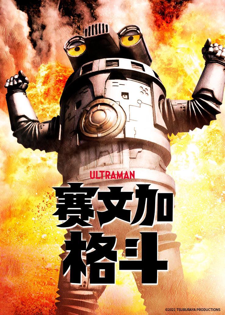 军人荣誉之英雄荣耀